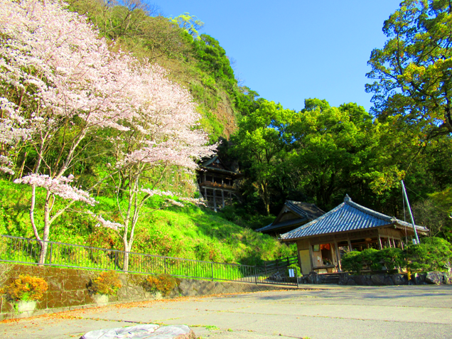 鷹栖観音堂は桜の開花と共に心も仏様の様に穏やかになります！