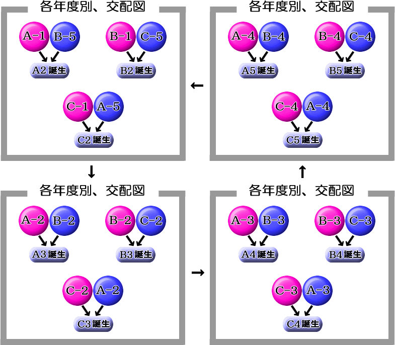 オオクワガタ,累代管理,方法,インライン,アウトライン,画像_03