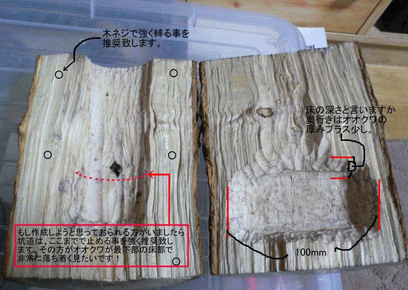 オオクワガタ,インセクト,自作,シェルター,Making-09_メイン画像タイトル