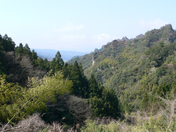 オオクワガタ,Abundant-Nature,地元、大分県の大自然、四季を楽しむ探索,Adventure-Story_04