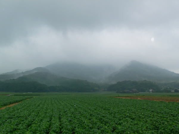 オオクワガタ,Abundant-Nature,地元、大分県の大自然、四季を楽しむ探索,Adventure-Story_04